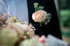 ansteckblume-detail-1