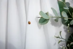 sani-chantal-unvergessliche-hochzeit